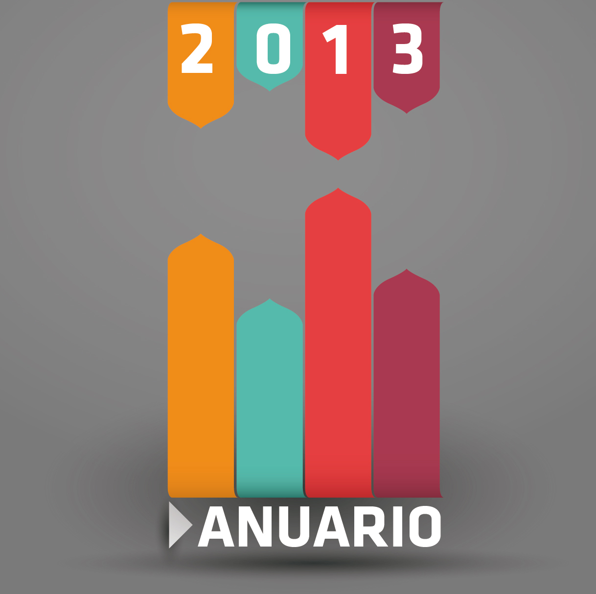 ANUARIO 2013